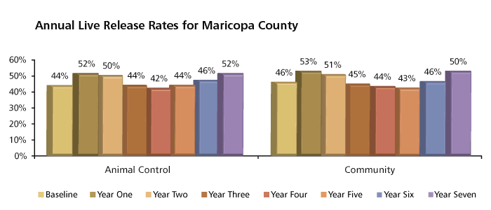 Maricopa County Live Release Rates